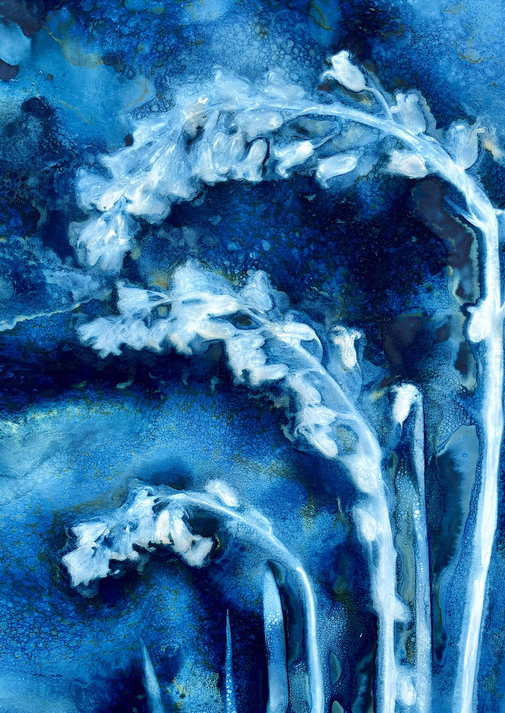 Bluebells botanical cyanotype fine art print with white woodland flowers against rich indigo blue