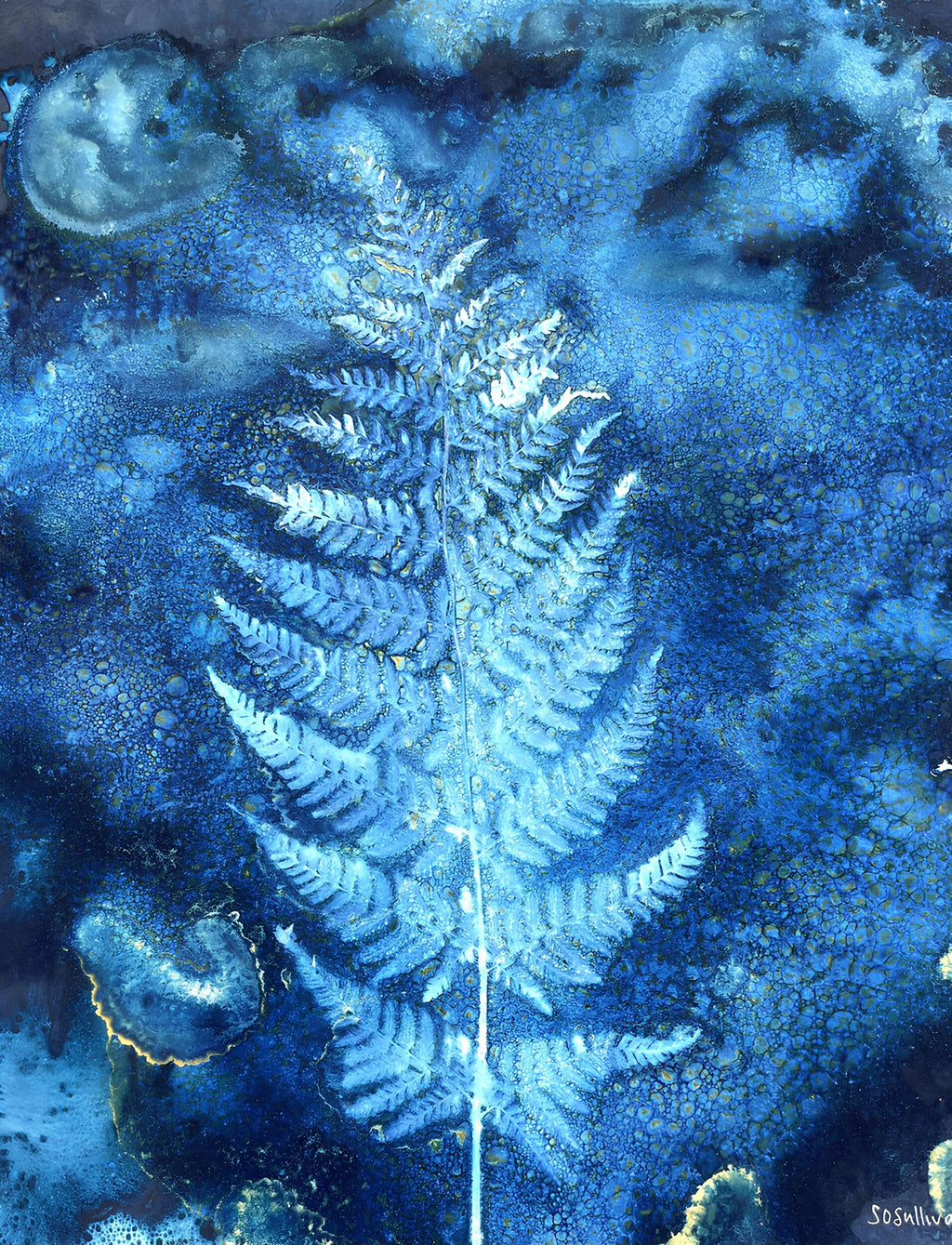 Broad Buckler Fern botanical cyanotype art print in rich indigo blue