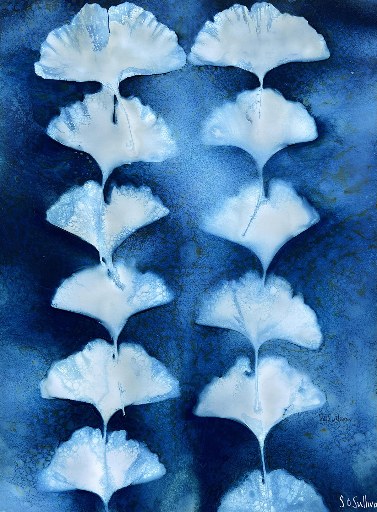 Ginkgo Leaves botanical cyanotype art print with white fan-shaped leaves on an indigo blue background