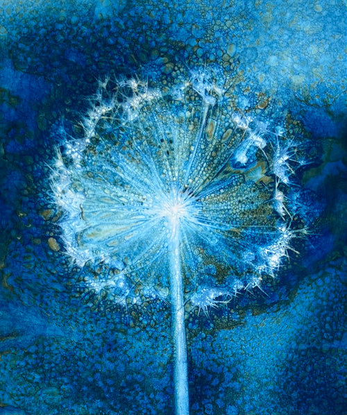 Allium Seed Head Cyanotype Art Print in rich blue and turquoise botanical tones
