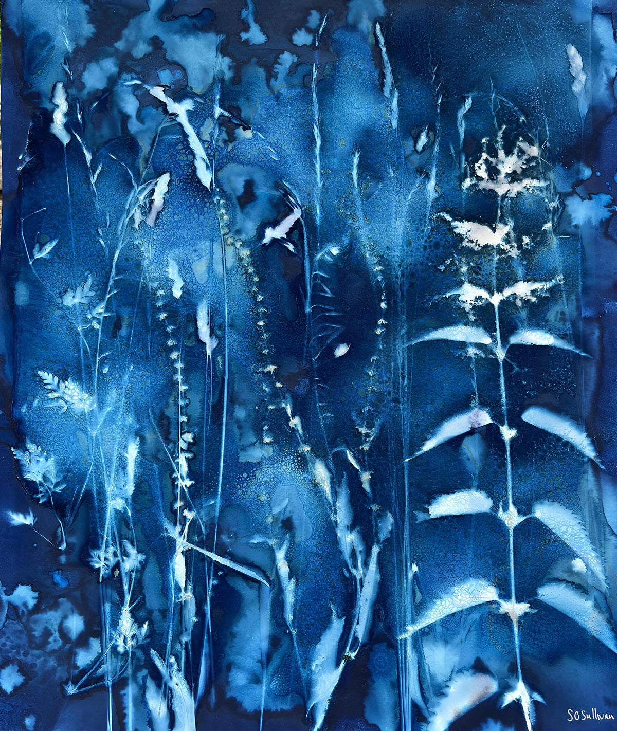 Hedgerow with Nettles botanical cyanotype fine art print with wild plants and grasses in indigo blue