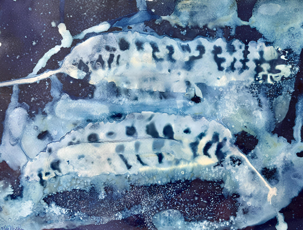Sea Kelp coastal cyanotype art print with organic seaweed forms in soft blue and deep indigo